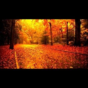 Meet your Posher, Leigh